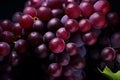 Red wine grapes. Generate Ai Royalty Free Stock Photo