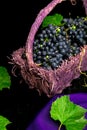 Red wine grapes in voiolet basket on bllack background. Royalty Free Stock Photo