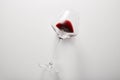 Red wine is inside stemware isolated on light gray.