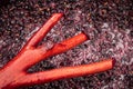 Red wine making in process. work mixing wine in the process of fermentation Royalty Free Stock Photo