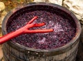 Red wine making in process. work mixing wine in the process of fermentation Royalty Free Stock Photo