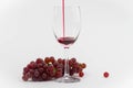 Red wine poured into a wineglass with fresh grapes as background. photo. Royalty Free Stock Photo