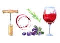 Red wine ,rosemary,corkscrew grapes and berry. Royalty Free Stock Photo