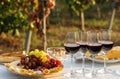 Red wine and snacks served for picnic on white wooden table Royalty Free Stock Photo