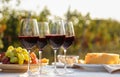 Red wine and snacks served for picnic on wooden table outdoors Royalty Free Stock Photo