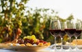 Red wine and snacks served for picnic on wooden table outdoors Royalty Free Stock Photo