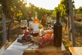 Red wine and snacks served for picnic on wooden table outdoors Royalty Free Stock Photo