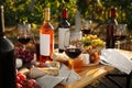 Red wine and snacks served for picnic on wooden table outdoors Royalty Free Stock Photo