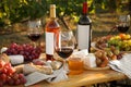 Red wine and snacks served for picnic on wooden table outdoors Royalty Free Stock Photo