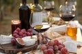 Red wine and snacks served for picnic on wooden table outdoors, closeup Royalty Free Stock Photo