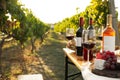 Red wine and snacks served for picnic on wooden table outdoors. Royalty Free Stock Photo