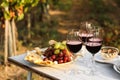 Red wine and snacks served for picnic on wooden table outdoors Royalty Free Stock Photo