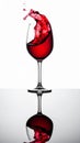 Red Wine Splash in Glass with Reflection on White Background Royalty Free Stock Photo
