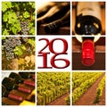 2016 red wine square photos collage card Royalty Free Stock Photo