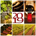 2019 red wine square photos collage Royalty Free Stock Photo