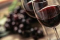 Red wine tasting Royalty Free Stock Photo