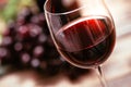 Red wine tasting Royalty Free Stock Photo