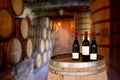 Red wine tasting in an old wine cellar with wooden wine barrels in a winery Royalty Free Stock Photo