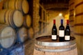 Red wine tasting in an old wine cellar with wooden wine barrels in a winery Royalty Free Stock Photo