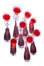 Red wine white glasses background light shadow tropical leaves Royalty Free Stock Photo