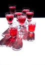 Red wine white glasses background light shadow tropical leaves Royalty Free Stock Photo