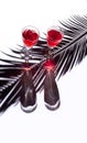 Red wine white glasses background light shadow tropical leaves Royalty Free Stock Photo