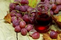 Red wines homemade glass jug and grapes Royalty Free Stock Photo