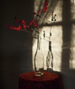 Red winter berries in a bottle with shadow