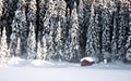 Red winter cabin Royalty Free Stock Photo