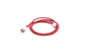 Red wire with type c white male connector usb cable on isolated white background Royalty Free Stock Photo