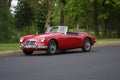 MGA red Forest Park mid summer