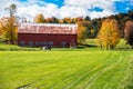 Red Woden barn in a field with a forest in background at the peak of autumn colours Royalty Free Stock Photo