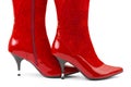 Red woman shoes Royalty Free Stock Photo