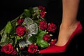 Red woman shoes Royalty Free Stock Photo