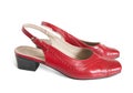 Red womanish shoes Royalty Free Stock Photo