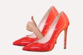 red women`s stiletto heeled shoes- Royalty Free Stock Photo