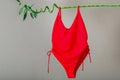 Red Women swimsuit Hanging on green bamboo plant branch. Beach accessories on Gray background. Summer clothes Travel Eco