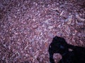Wood chips texture with shadow Royalty Free Stock Photo