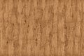 Red wood floor surface on a rustic mountain hut Royalty Free Stock Photo