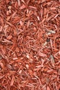 Red woodchips as background. Royalty Free Stock Photo