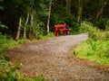 Red wooden bench in a park by walking path. Royalty Free Stock Photo