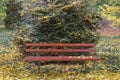 Red wooden benches in the botanical garden of Macea dendrological park Arad county - Romania Royalty Free Stock Photo