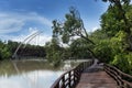 Red wooden bridge walkway leading straight out of the mangrove forest. Royalty Free Stock Photo