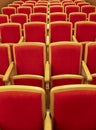 Red wooden chairs in the auditorium