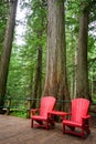 Red wooden chairs on Hemlock Grove Boardwalk trail, Glacier National park, Rocky Mountains, Bristish Columbia Canada Royalty Free Stock Photo