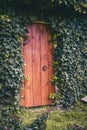 Red wooden exterior door wrapped in green ivy vine Royalty Free Stock Photo