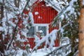 Red wooden finnish house in the forest.