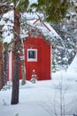 Red wooden finnish house in the forest.