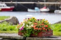 Red wooden flowerbed with colorful flowers of different types in a public garden. Boats out of focus in the background. Summer Royalty Free Stock Photo