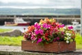 Red wooden flowerbed with colorful flowers of different types in a public garden. Boats out of focus in the background. Summer Royalty Free Stock Photo